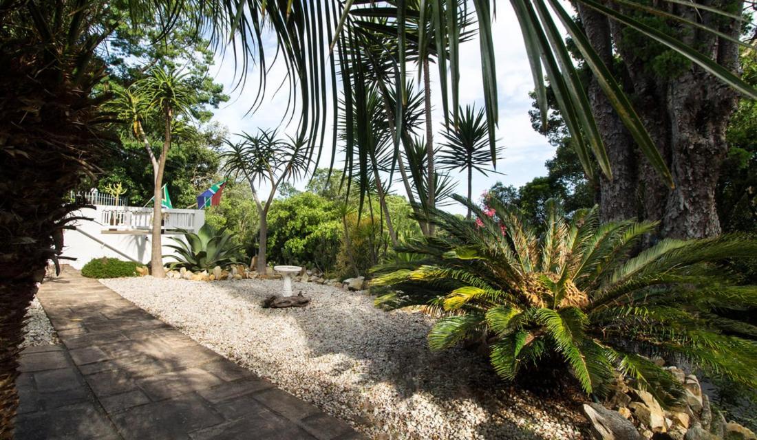 South Villa Guesthouse&Garden Knysna Bagian luar foto