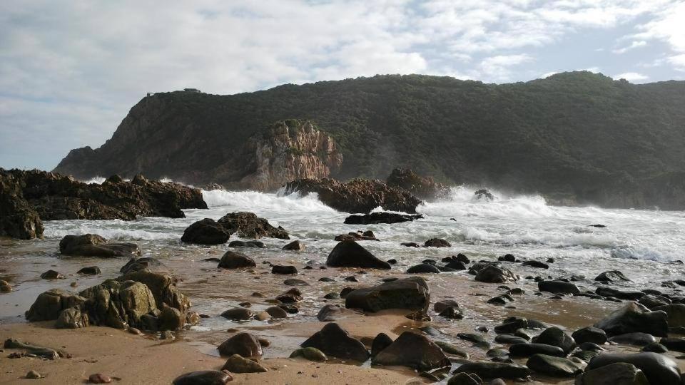 South Villa Guesthouse&Garden Knysna Bagian luar foto