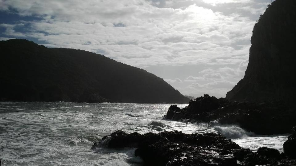South Villa Guesthouse&Garden Knysna Bagian luar foto